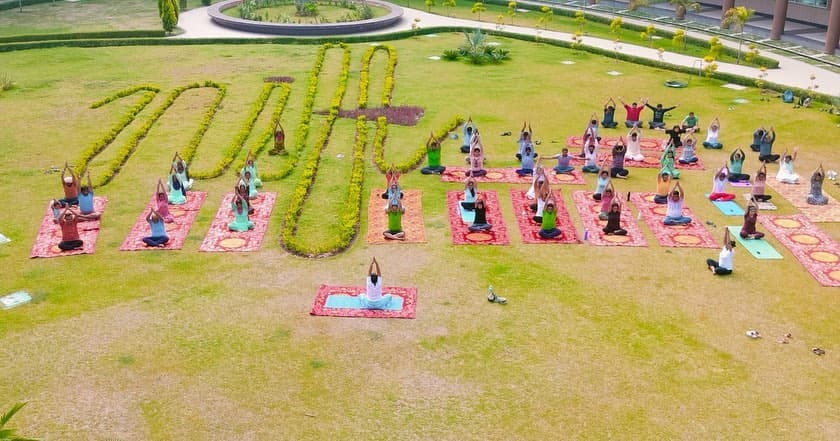 Yog: The Ultimate Guide to Knowing Yourself